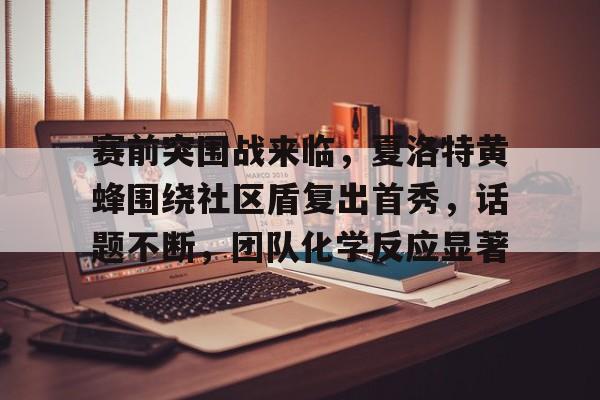 Yabo-赛前突围战来临，夏洛特黄蜂围绕社区盾复出首秀，话题不断，团队化学反应显著的简单介绍-Yabo